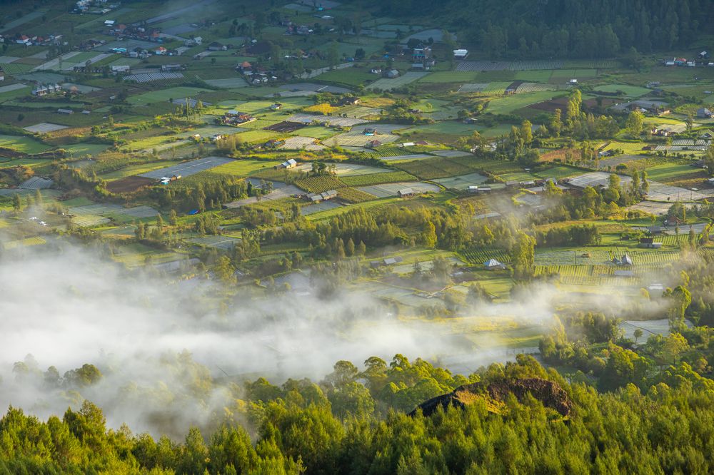 Photograph by Сергей Гук