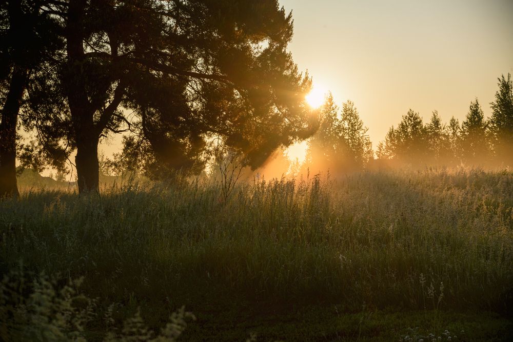 Photograph by Иван Курятников
