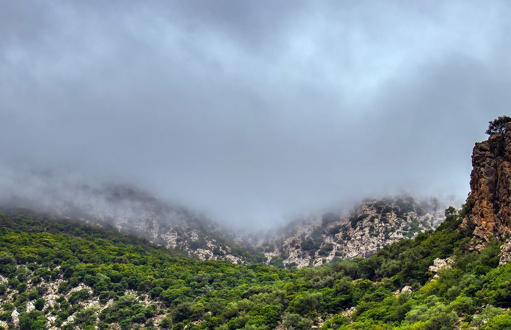 Фотография автора Ismail SAIDI