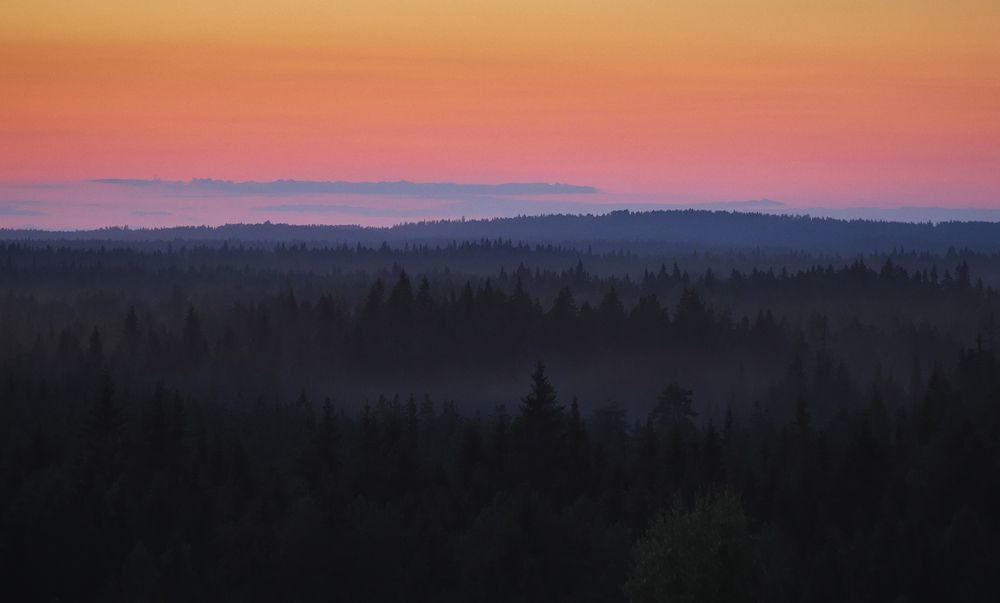 Twilight
