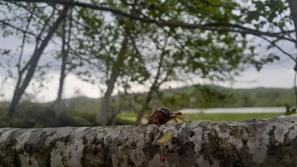 Photograph by Виктория Дорохова