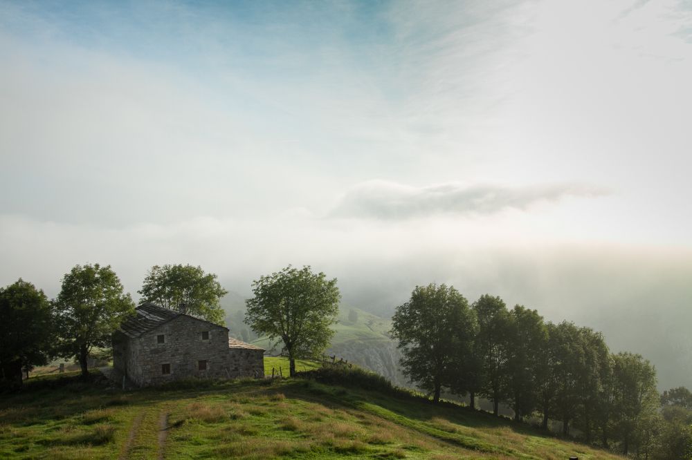 Фотография автора Оксана Мерзликина