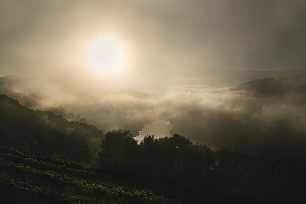 Фотография автора Оксана Мерзликина