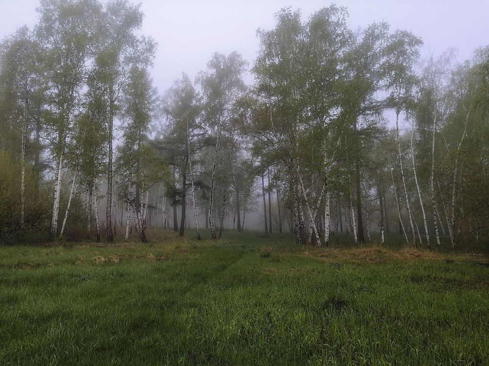 Photograph by Евгений Шульга