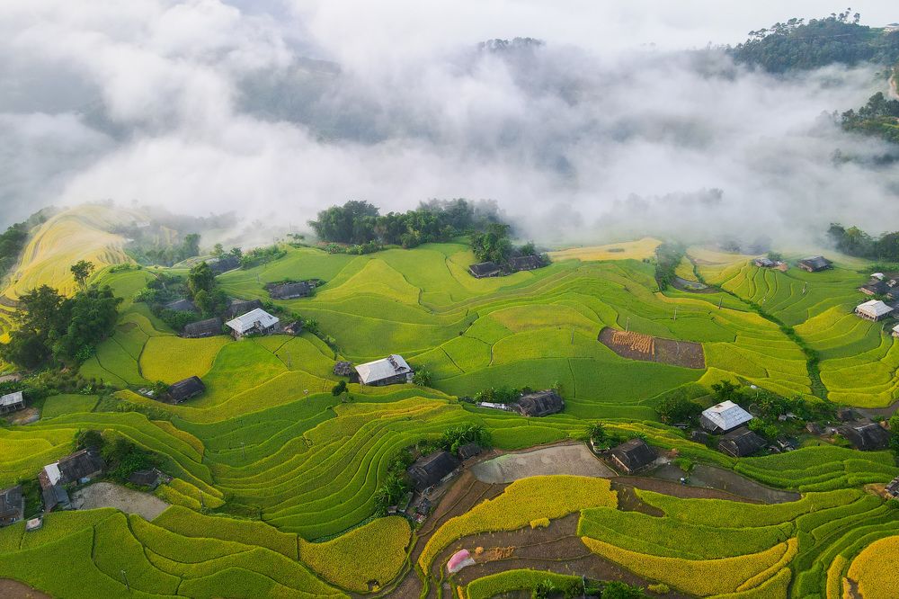 Photograph by Trung Duong