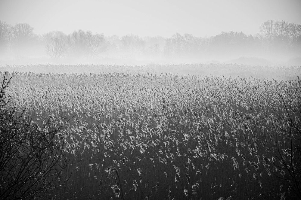 Photograph by Bohatyrov Yuri