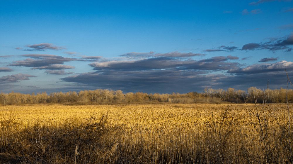 Photograph by Bohatyrov Yuri