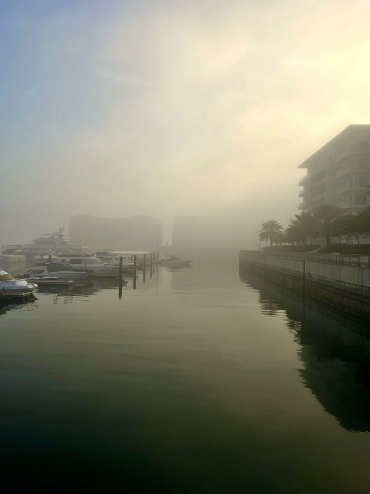 Foggy Marina