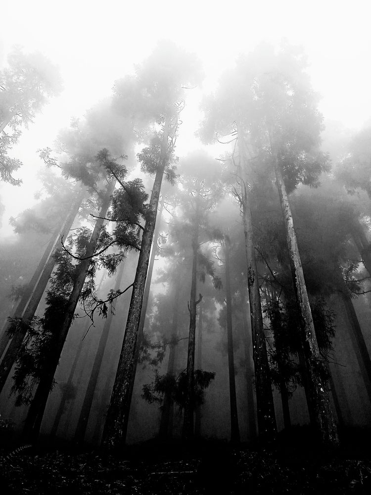 Photograph by saikat chanda