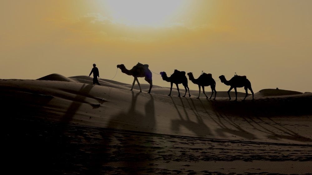 Photograph by Ольга Одаренко