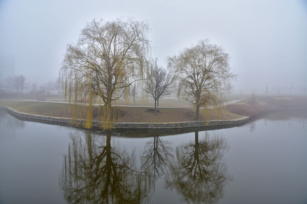 Photograph by Fedor Kadurin