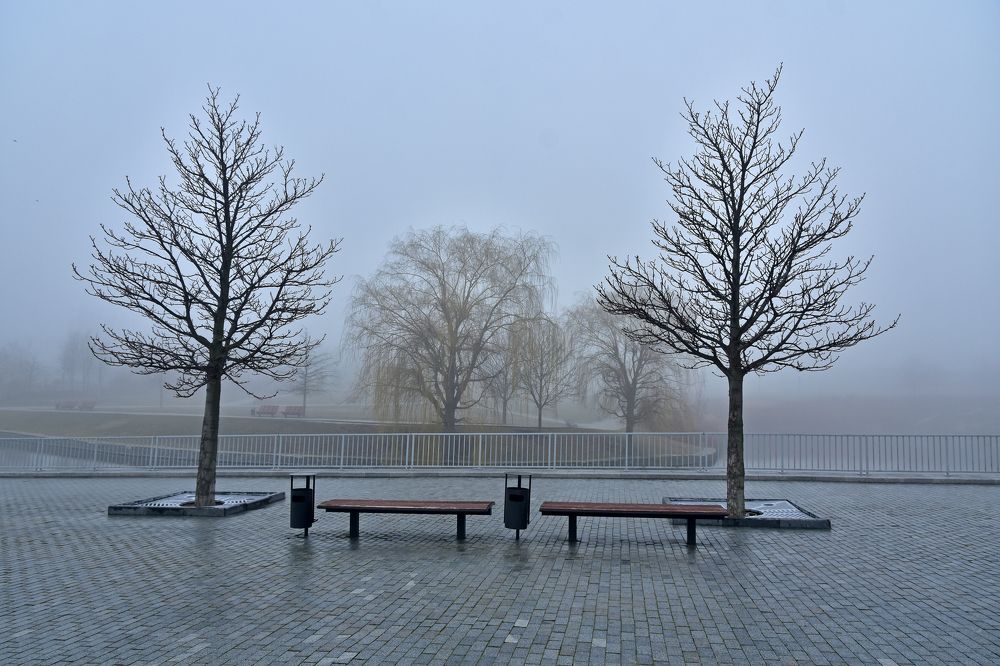 Photograph by Fedor Kadurin