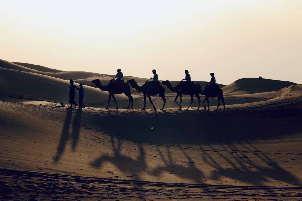 Photograph by Ольга Одаренко