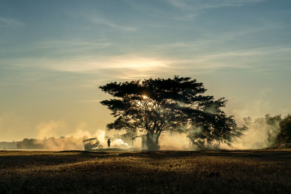 Photograph by JJ Lim