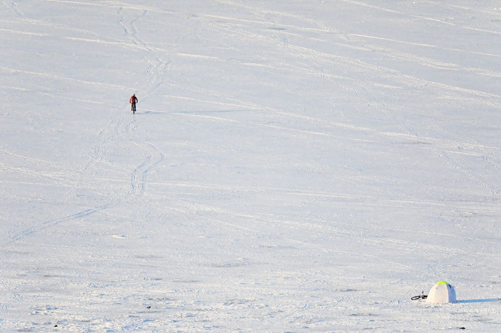 Photograph by Владимир Грибков