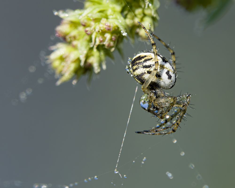 Photograph by Юрий Чернов