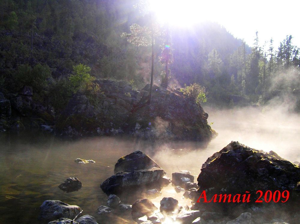 Photo #9165393