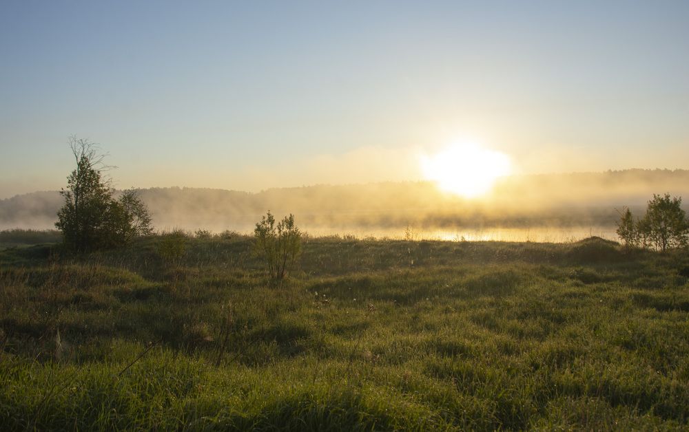 Фотография автора Геннадий Коробов
