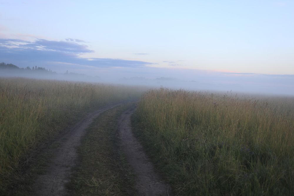 Эх, дороги...