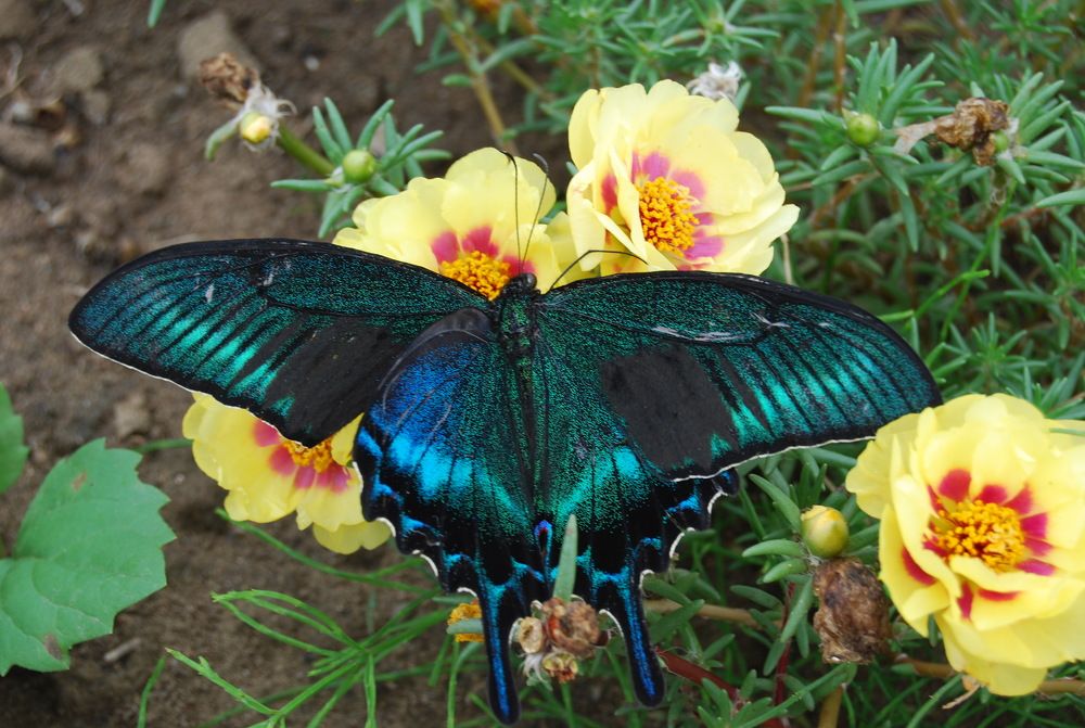 Photograph by Оксана Трофименко