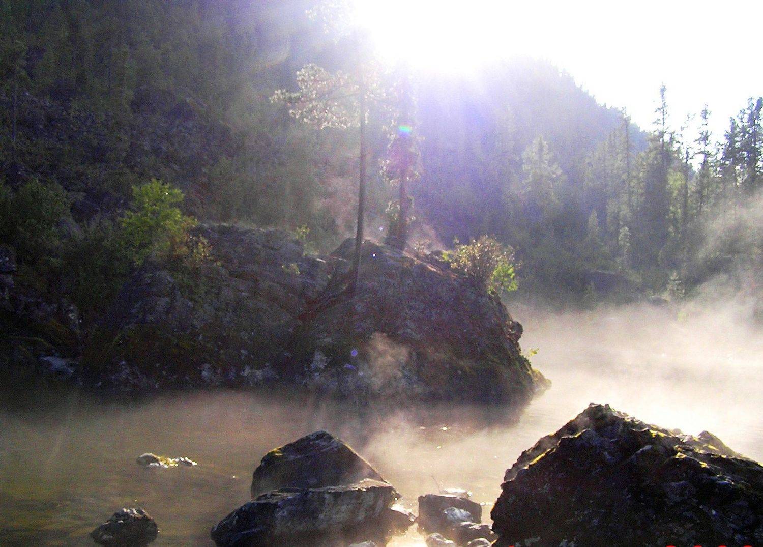 Photo #9165446