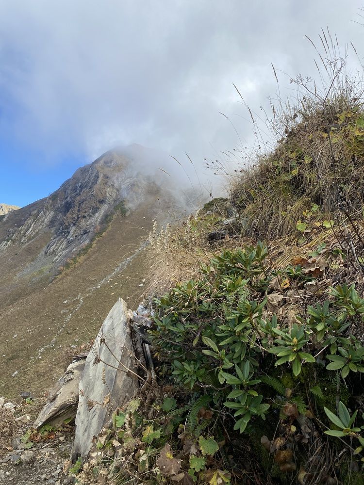 Photograph by Алиса Лукина