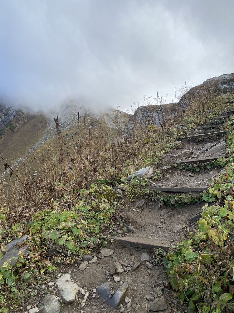 Photograph by Алиса Лукина