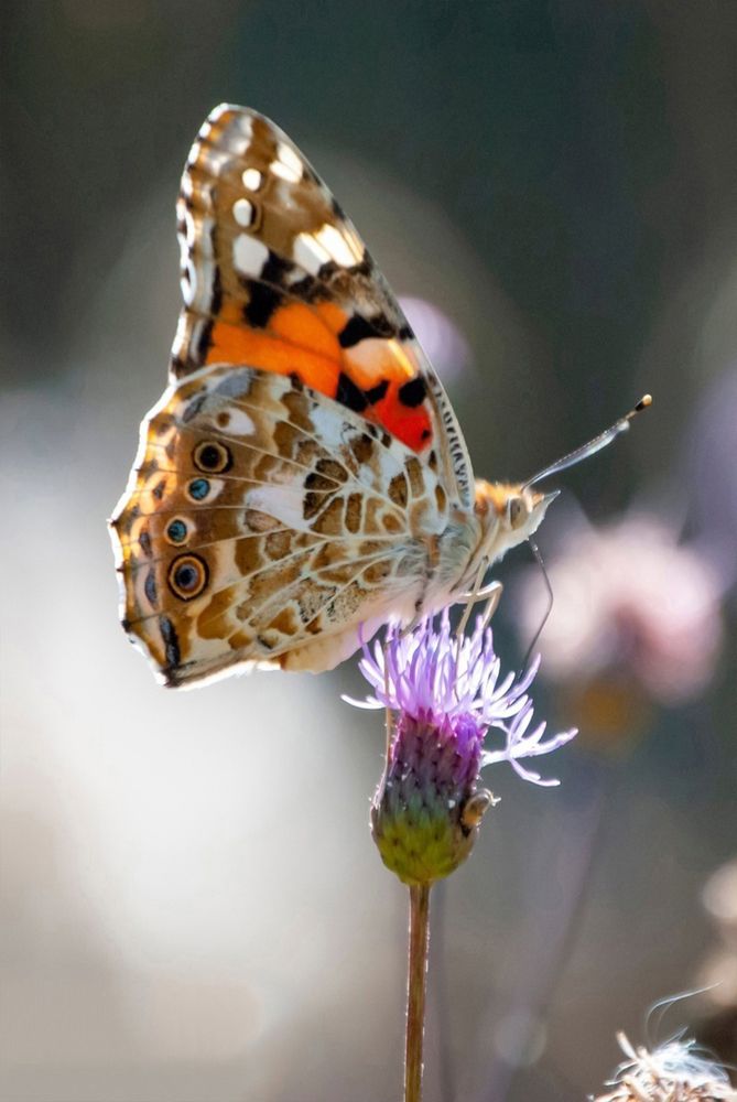 Photograph by Любовь Бусова