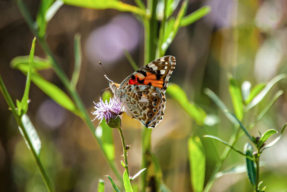 Photograph by Любовь Бусова