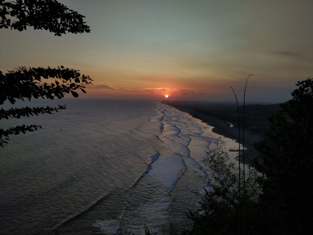 Photo #9165502