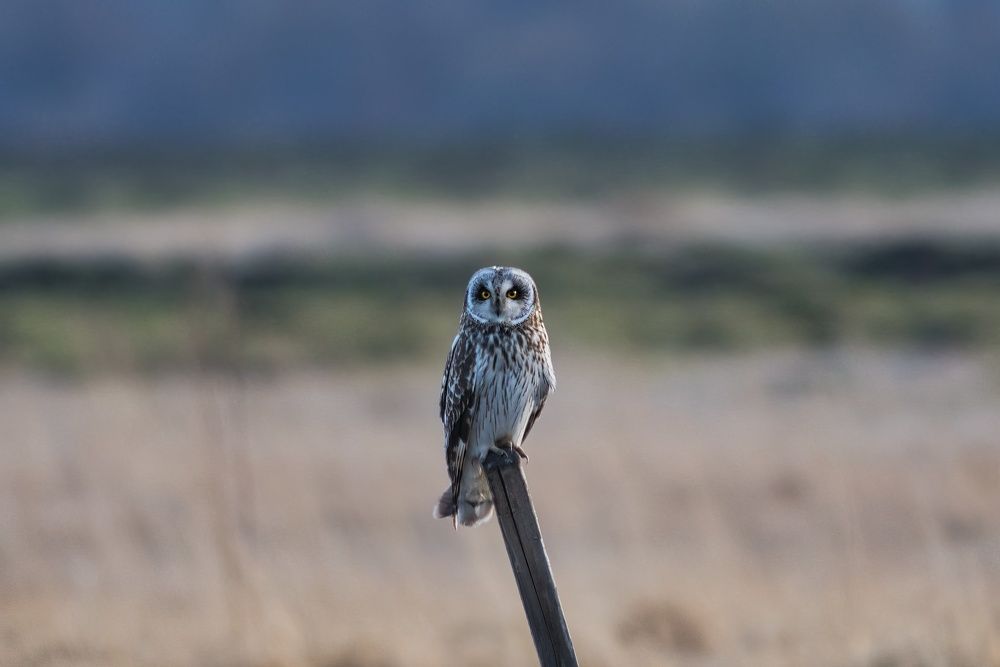 Фотография автора Большаков Алексей