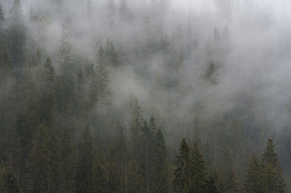 Фотография автора Erika