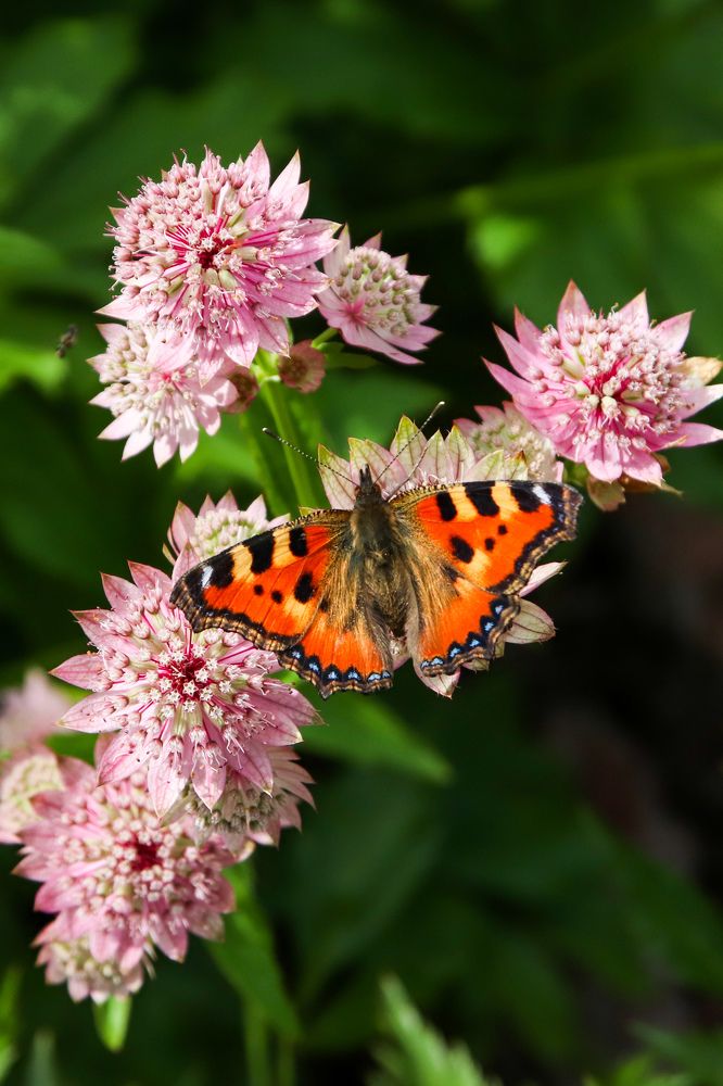Photograph by Алексей Голубев