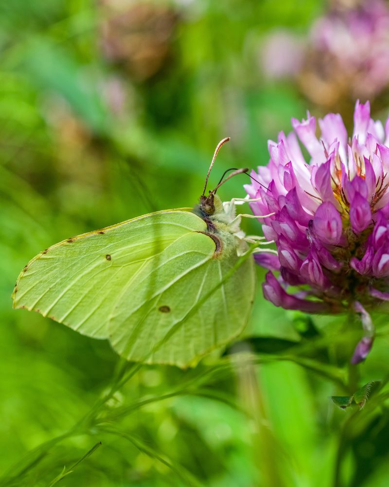 Photograph by Николай Головко