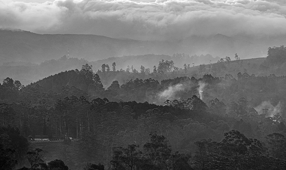 Photograph by Piyori Niranjan Obergfell Cooray