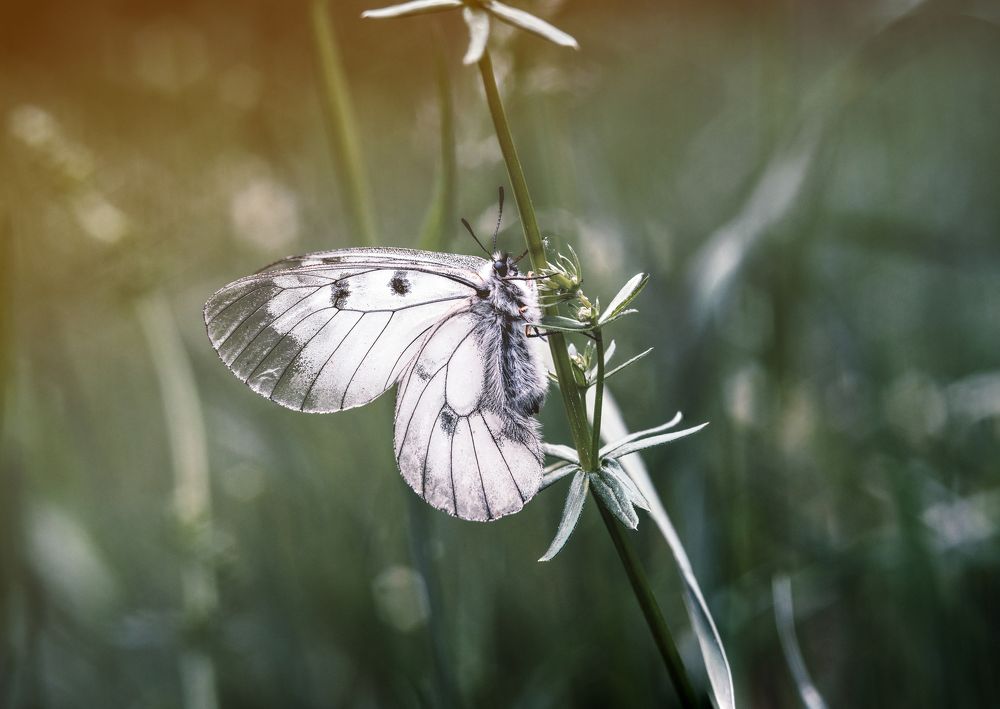 Photograph by Екатерина