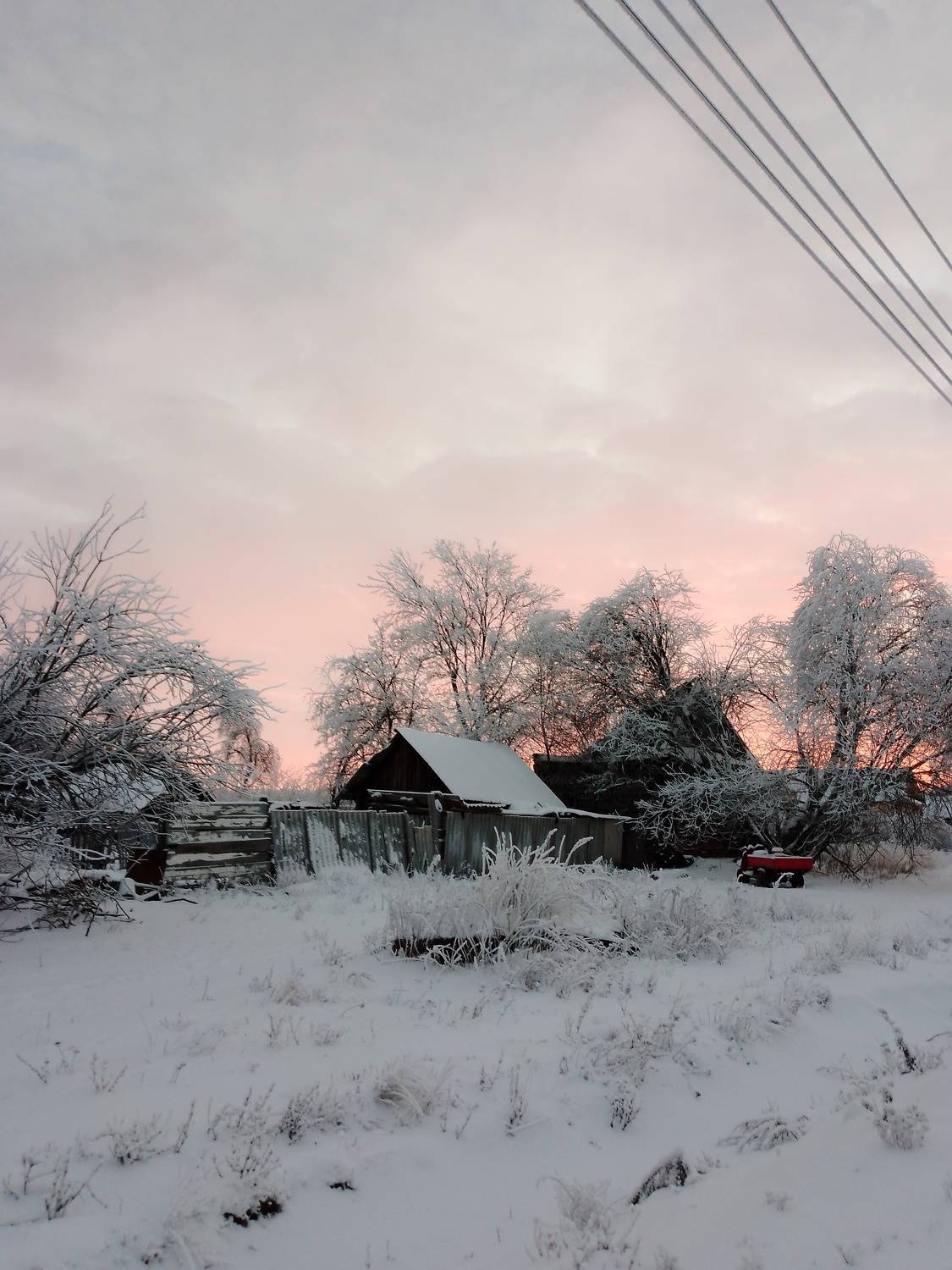 Photo #9165771