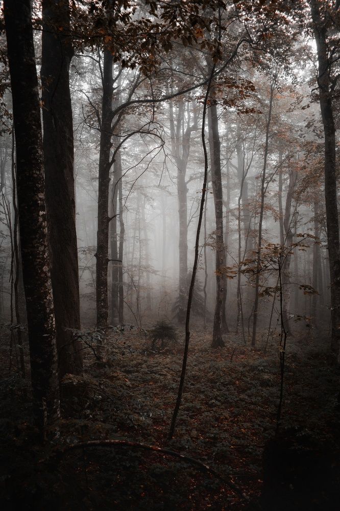 Photograph by Александр Лопатин