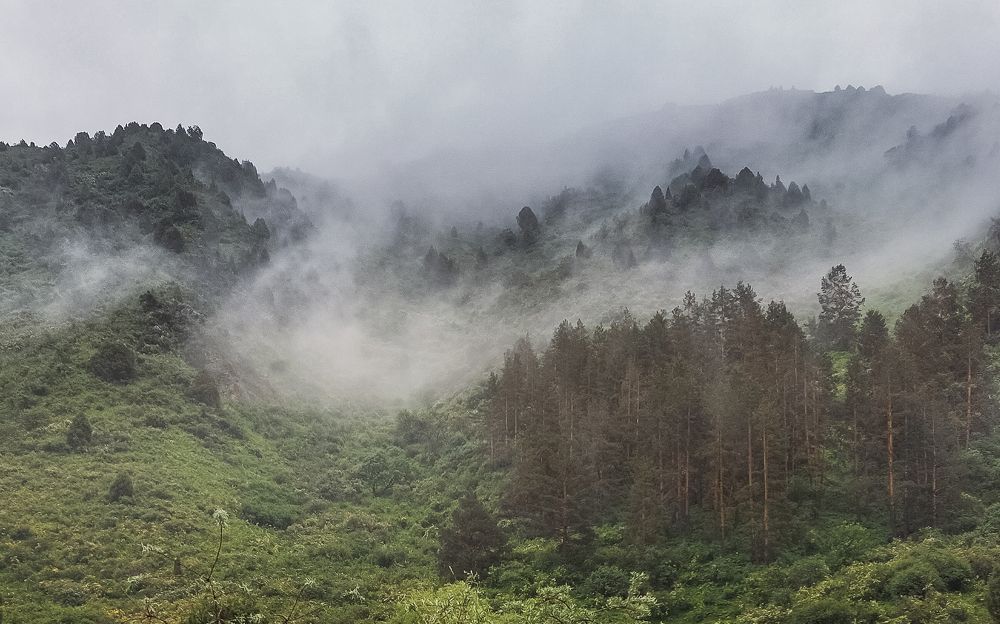 Photograph by Анна Чичилова