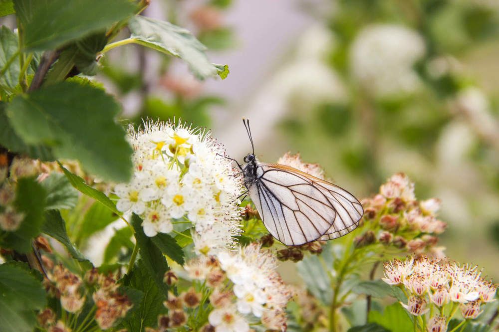 Photograph by Алина