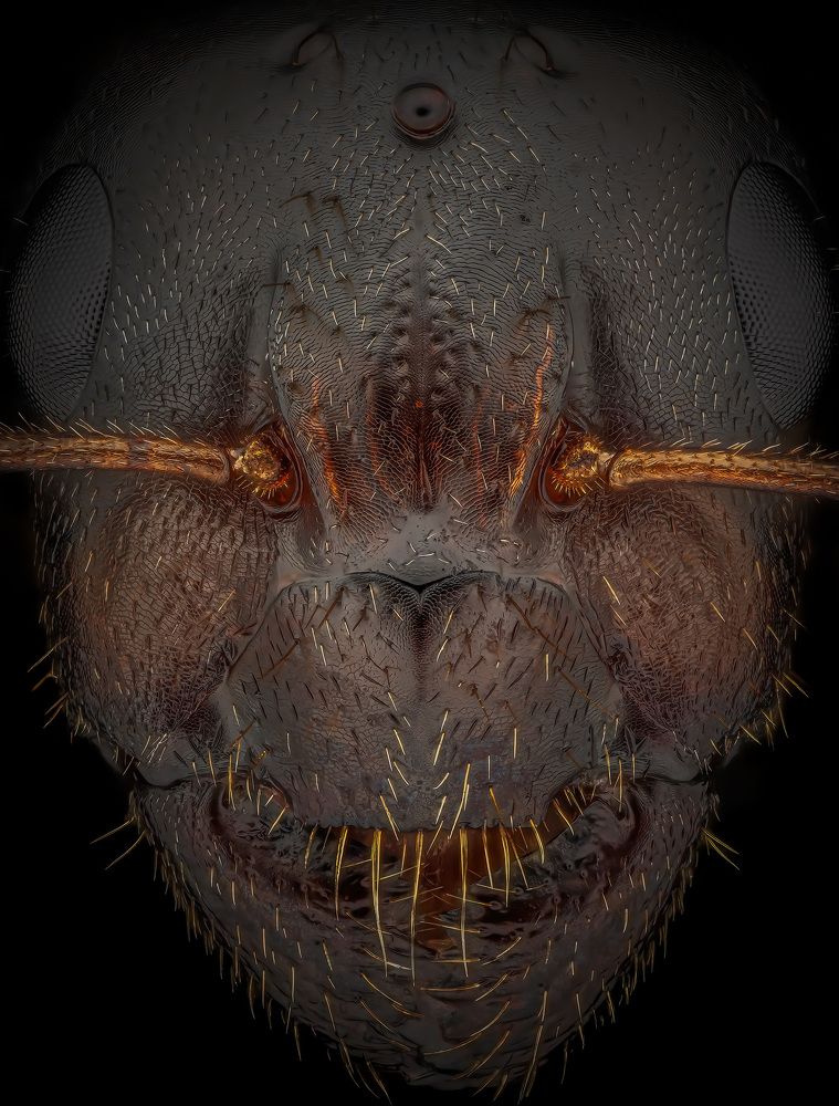 Photograph by Rastislav Borovsky