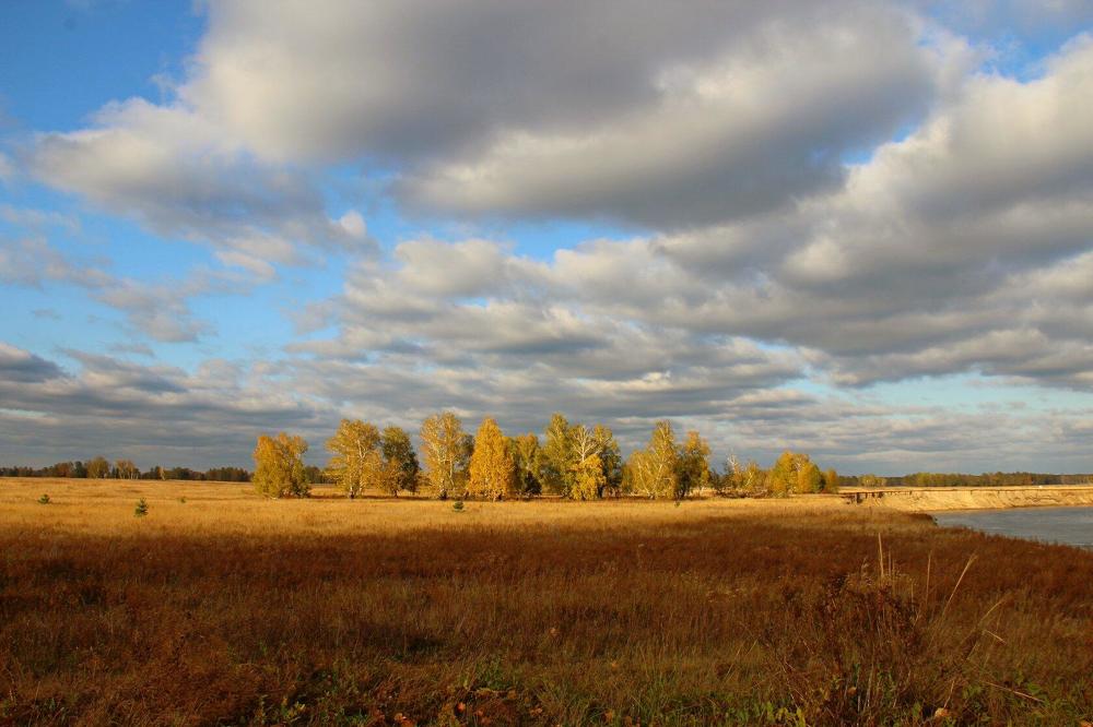 Photograph by Ирина Латынцева