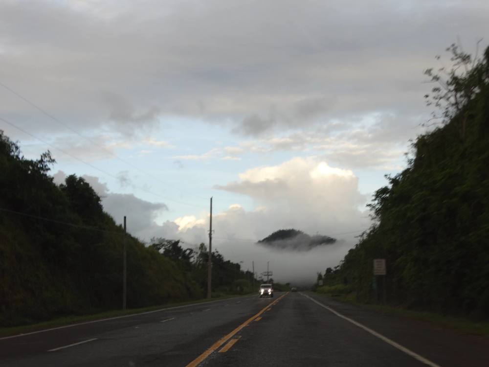 Photograph by José Salgado