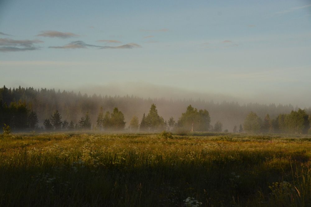 Photograph by Наталья