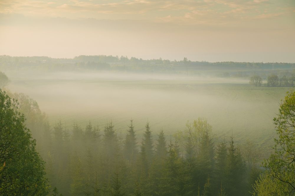 Фотография автора Андрей Мацкевич