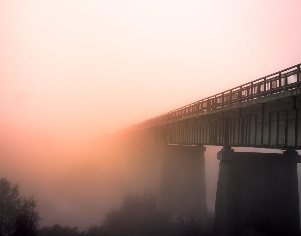 Photograph by Данила Черных