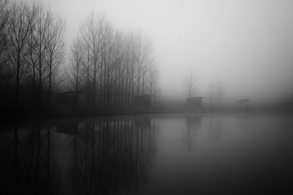 Фотография автора Герчев Николай