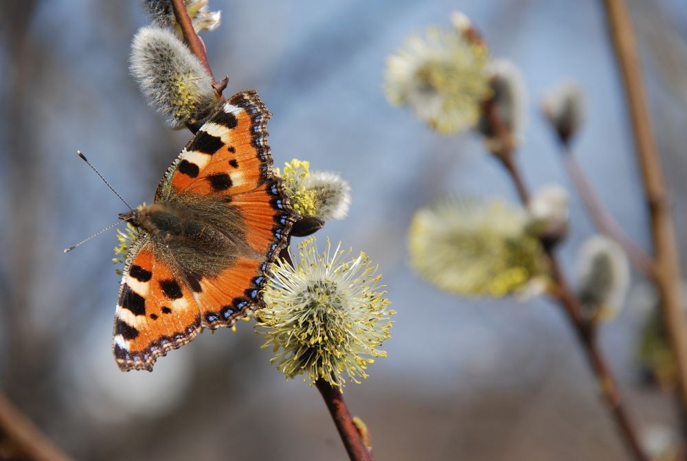 Photograph by Юрий Яковлев