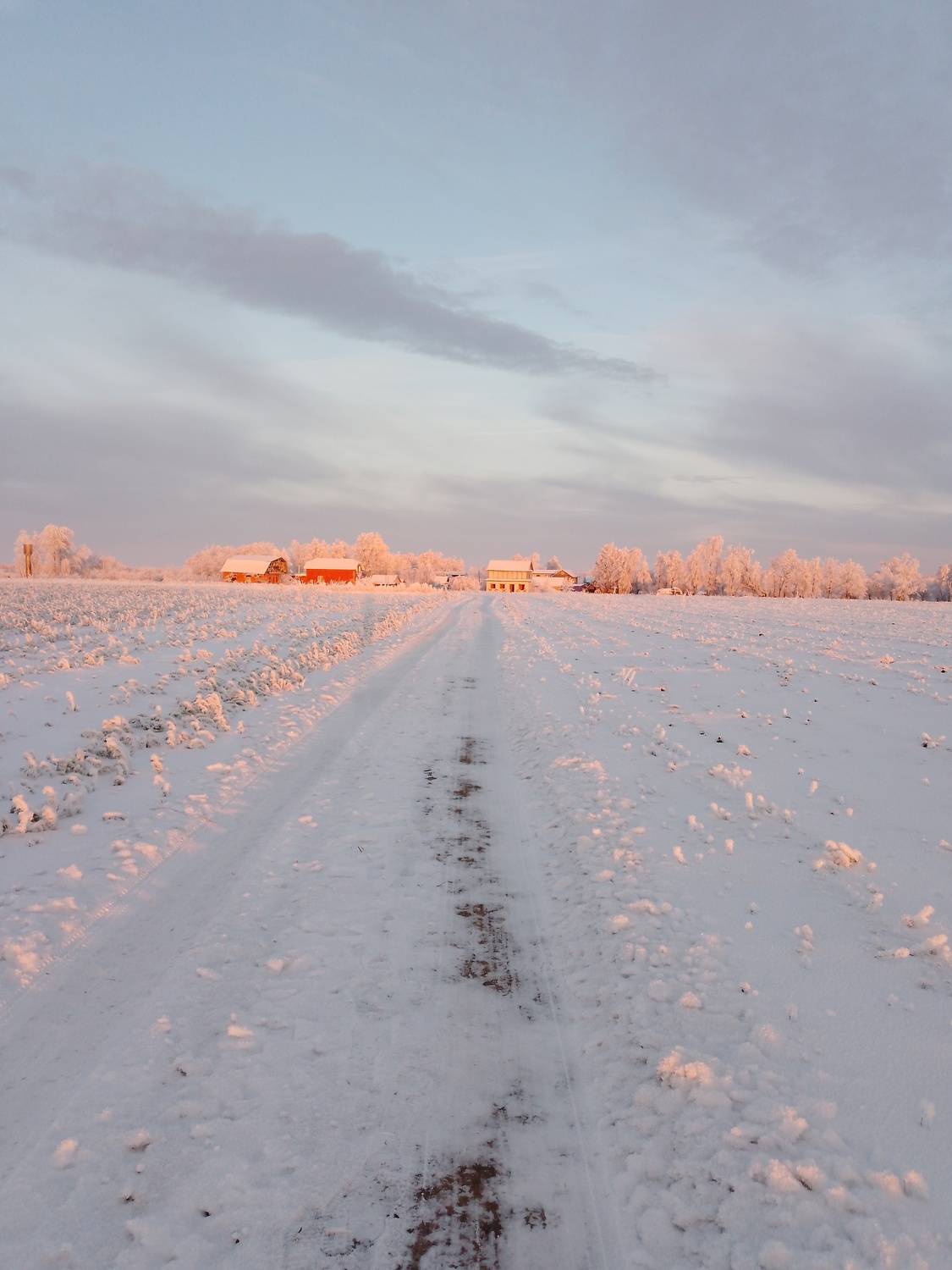 Photo #9165970