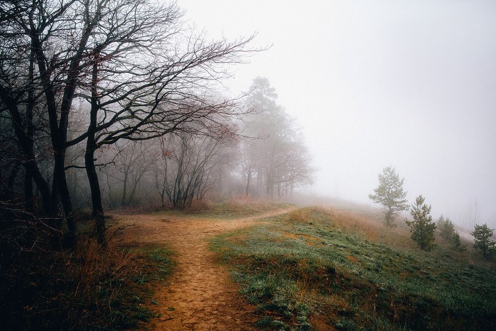 Photograph by Дзюба Нелли